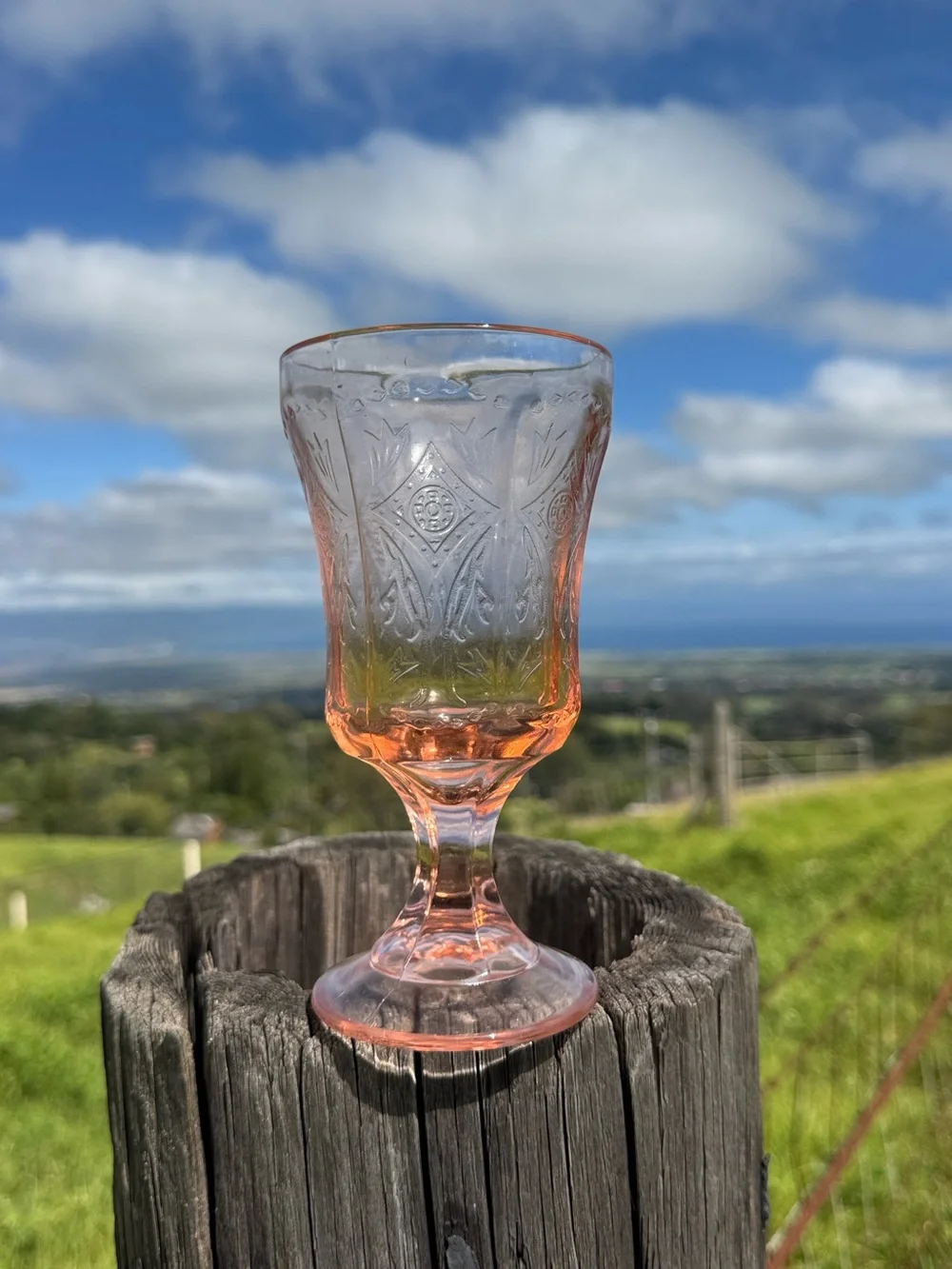 New Vintage Indiana Glass Company 4 PINK Footed Madrid Glasses Gobblet Cottage